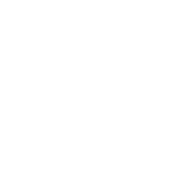 RMN VR Logo